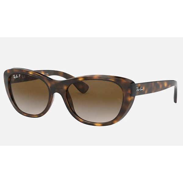 RAY-BAN RB4227c710/T5-55